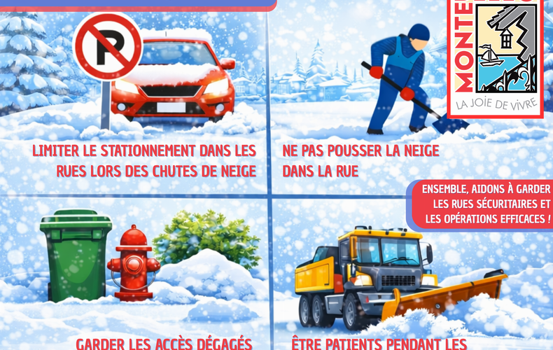 ❄️ Déneigement : adoptons les bonnes pratiques! ❄️