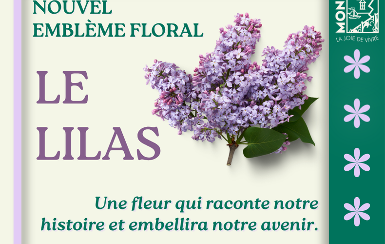 Le lilas devient l'emblème floral de Montebello